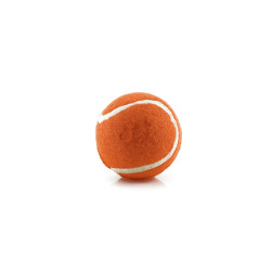 Pelota