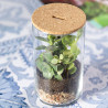 Terrarium