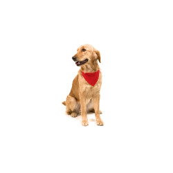 Collar Bandana